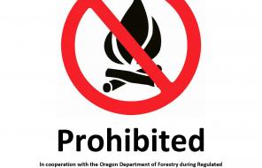 Beach Fires Prohibited 2024